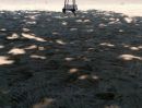  - ขายที่ดิน เนื้อที่ 4 ไร่ ในทำเลทอง 500 เมตร ถึงหาดทรายเเม่รำพึง (ก้นอ่าว) โฉนดครุฑเเดง นส4จ พร้อมโอน