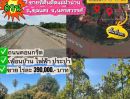  - ขายถูกมาก!! ที่ดินติดริมแม่น้ำน่าน 6-3-9 ไร่ +ที่ดินงอกริมแม่น้ำประมาณ 3-5 ไร่ ทำเลดี อ.ชุมแสง จ.นครสวรรค์