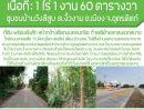  - ทีดินเปล่าใกล้แยกอุโมงค์วังสีสูบและถนนสี่เลนสายเอเซีย พร้อมโอน