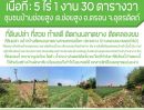  - ที่ดินติดถนนลาดยาง(สายหลัก) ทำเลดี โฉนดพร้อมโอน
