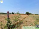  - ที่ดินติดถนนลาดยาง(สายหลัก) ทำเลดี โฉนดพร้อมโอน