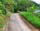  - ที่ดิน 4 ไร่ ป่าตอง ภูเก็ต สำหรับโครงการวิลล่าวิวทะเล