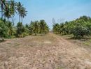  - ขาย ที่ดินเปล่า หนองขอน ใกล้ซ.หม่อนไหม ไม่ไกลจากสถานที่ท่องเที่ยวและท่าอากาศยานหัวหิน