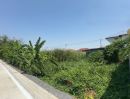  - ขายที่ดิน 96 ตร.วา ทำเลบางบัวทอง ใกล้ ตลาดสมบัติบุรี