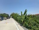  - ขายที่ดิน 96 ตร.วา ทำเลบางบัวทอง ใกล้ ตลาดสมบัติบุรี