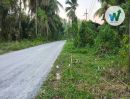  - ประกาศขายที่ดินใกล้สถานที่ท่องเที่ยวในอำเภอป่าพะยอม