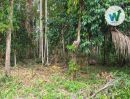  - ประกาศขายที่ดินใกล้สถานที่ท่องเที่ยวในอำเภอป่าพะยอม