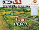  - 170,000 ฟรีโอน ที่อู่ทองสุพรรณ 1 งาน มีน้ำไฟ ในเขตเทศบาล ใกล้ กทม. ปรับราคาลง รีบด่วน โฉนดพร้อม ถูกที่สุดในอู่ทอง ประหยัด 2 หมื่น++