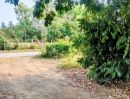 - ที่ดินอยู่อาศัย ใกล้ถนนสายหลัก อ.นางรอง บุรีรัมย์
