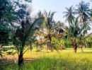 - ที่ดินอยู่อาศัย ใกล้ถนนสายหลัก อ.นางรอง บุรีรัมย์