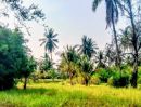 - ที่ดินอยู่อาศัย ใกล้ถนนสายหลัก อ.นางรอง บุรีรัมย์