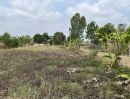  - ขายที่ดิน 200 ตร.ว. ใกล้ถนนรังสิต - นครนายก ใกล้เมือง มีโฉนด ขายถูก