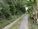  - ขายที่ดิน 200 ตร.ว. ใกล้ถนนรังสิต - นครนายก ใกล้เมือง มีโฉนด ขายถูก