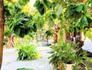  - บ้านหรู ทำเลดี ใจกลางถนนพุทธมณฑล สาย 2 กรุงเทพ