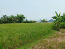  - ขายที่ดิน 11ไร่95ตร.ว. ต.ป่าป้อง อ.ดอยสะเก็ด จ.เชียงใหม่