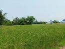  - ขายที่ดิน 11ไร่95ตร.ว. ต.ป่าป้อง อ.ดอยสะเก็ด จ.เชียงใหม่