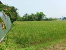  - ขายที่ดิน 11ไร่95ตร.ว. ต.ป่าป้อง อ.ดอยสะเก็ด จ.เชียงใหม่
