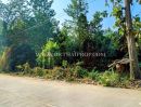 - ที่ดินสวย 2 แปลง ใกล้โรงพยาบาลบึงสามัคคี อ.บึงสามัคคี จ.กำแพงเพชร