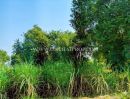 - ที่ดินสวย 2 แปลง ใกล้โรงพยาบาลบึงสามัคคี อ.บึงสามัคคี จ.กำแพงเพชร