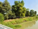- ที่ดินสวย 2 แปลง ใกล้โรงพยาบาลบึงสามัคคี อ.บึงสามัคคี จ.กำแพงเพชร