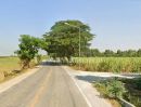 - ที่ดินสวย 2 แปลง ใกล้โรงพยาบาลบึงสามัคคี อ.บึงสามัคคี จ.กำแพงเพชร