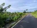  - ขายด่วน ที่ดินสวยริมแม่น้ำท่าจีน อ.หันคา จ.ชัยนาท