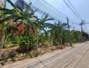 - ขายที่ดินเปล่า ซ. ติวานนท์ 32 จ.นนทบุรี ( MRT แคราย )