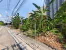 - ขายที่ดินเปล่า ซ. ติวานนท์ 32 จ.นนทบุรี ( MRT แคราย )