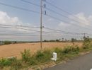 - ขายที่ดิน คลองกิ่วชลบุรี ราคาต่ำกว่าตลาด 331 62