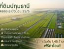 - ที่ดินคลอง 8 บึงบอน เปิดจองแล้ววันนี้ 1 ไร่ ราคาแค่ 1.45 ล้าน ใกล้กรุงเทพ