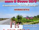 - ที่ดินคลอง 8 บึงบอน เปิดจองแล้ววันนี้ 1 ไร่ ราคาแค่ 1.45 ล้าน ใกล้กรุงเทพ