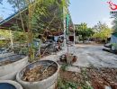 - ขายที่ดิน 100 ตร.ว. แจ้งวัฒนะ 14 หมู่บ้านเมืองทอง1 ซอยสังคม 2 ถนนแจ้งวัฒนะ ใกล้รถไฟฟ้า แปลงสวย
