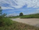  - ขายที่ดิน บ้านบึง ชลบุรี 5 ไร่ 1 งาน 46 ตร.ว. ทำเลดี เหมาะลงทุน