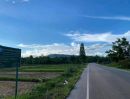  - ที่ดินสวยราคาดี โนนสัง หนองบัวลำภู พื้นที่ 43-2-18 ไร่