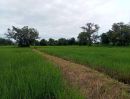  - ที่ดินสวยราคาดี โนนสัง หนองบัวลำภู พื้นที่ 43-2-18 ไร่