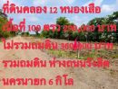  - เปิดราคาใหม่ ในสภาวะ ราคาน้ำมันแพง ลดสุดๆสำหรับ 4 แปลงเท่านั้น _ราคา 100 ตารางวา #ไม่ถม 290,000 บาท _ราคาถมดิน 100 ตารางวา 360,000 บาท #คลอง 12