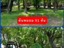  - ขายที่ดิน อาศรมหมอชีวก สิงห์บุรี เกือบ 10 ไร่