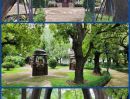  - ขายที่ดิน อาศรมหมอชีวก สิงห์บุรี เกือบ 10 ไร่
