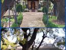  - ขายที่ดิน อาศรมหมอชีวก สิงห์บุรี เกือบ 10 ไร่