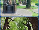 - ขายที่ดิน อาศรมหมอชีวก สิงห์บุรี เกือบ 10 ไร่