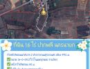  - ที่ดินทำเลทอง 16 ไร่ ปากพลี นครนายก** โอกาสที่นักลงทุนและผู้มองหาพื้นที่เพื่อสร้างอนาคตไม่ควรพลาด!