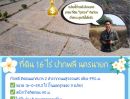  - ที่ดินทำเลทอง 16 ไร่ ปากพลี นครนายก** โอกาสที่นักลงทุนและผู้มองหาพื้นที่เพื่อสร้างอนาคตไม่ควรพลาด!