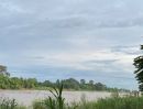 - ขายที่ดินติดแม่น้ำเจ้าพระยา อำเภอพยุหะคีรี นครสวรรค์