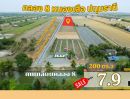 - ขายที่ดิน 200 ตร.ว 7.9 แสน ถนน 8 เมตร น้ำประปา ไฟฟ้าสามเฟส คลอง 8 หนองเสือ ปทุมธานี