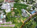  - ขายที่ดิน 2-1-84 ไร่ ผังสีแดง ซื้อเพื่ออยู่อาศัย ลงทุนทำธุรกิจหรือทำจัดสรรก็คุ้มค่า ราคาไม่แพง ถนนมิตรสัมพันธ์ เสม็ด อำเภอเมือง ชลบุรี