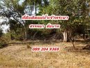  - ขายที่ดิน ติดแม่น้ำ ราคาถูก ต.บางหลวง อ.สรรพยา จ.ชัยนาท พื้นที่ 1-3-74.8 ไร่