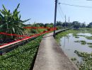 - ขายที่ดินเปล่า 2 ไร่ 65 ตร.ว. ซ.บางนาการ์เด้น 7 อ.บางเสาธง จ.สมุทรปราการ ทำเลทอง ใกล้ ABAC บางนา