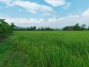  - ขายที่ดิน 12ไร่ ต.สง่าบ้าน อ.ดอยสะเก็ด เชียงใหม่
