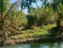  - ขาย ที่ดินพร้อมสวนมะพร้าว ขนาด22-1-25.6 ไร่ ต.วังชะพลู อ.ขาณุวรลักษบุรี จ.กำแพงเพชร