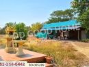  - ที่ดินพร้อมสิ่งปลูกสร้างบ้านหมี่ 1 ไร่ 229 ตร.ว. ลพบุรี ใกล้ที่ว่าการอำเภอบ้านหมี่